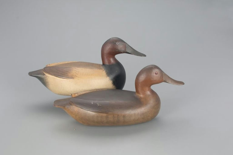 Charles Perdew – Raised-Wing Canvasback Pair – 2021