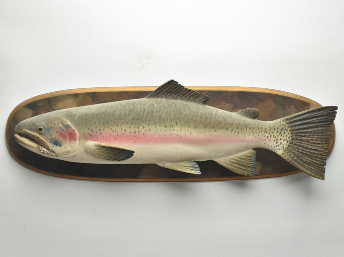 Frank Finney – Rainbow trout plaque – 2023