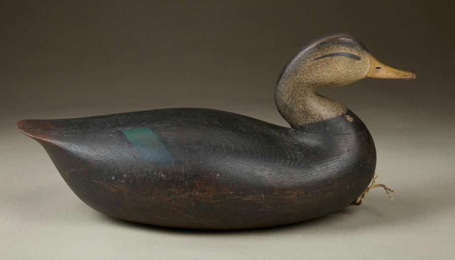 Cameron McIntyre – Black Duck – 2025