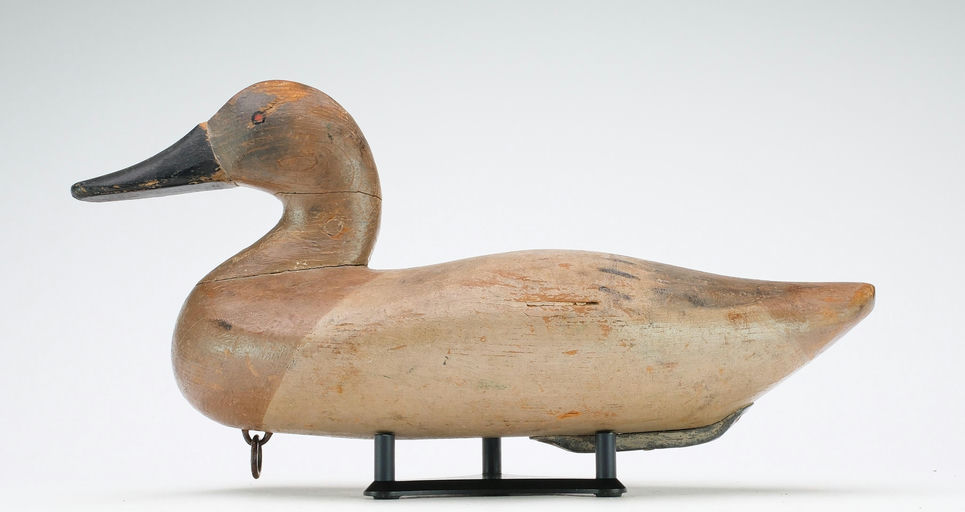 Bob McGaw – Canvasback Hen – 2024