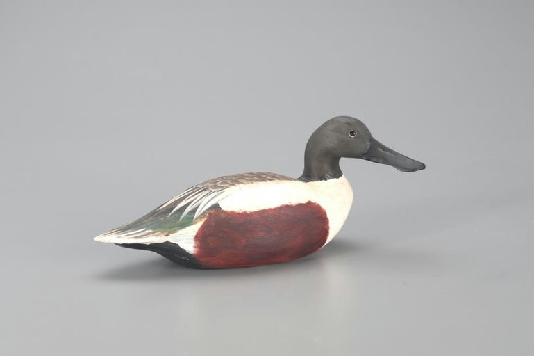 Corb Reed – Shoveler – 2021
