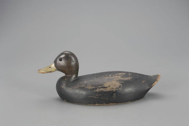 Zeke McDonald – Hollow Black Duck – 2021