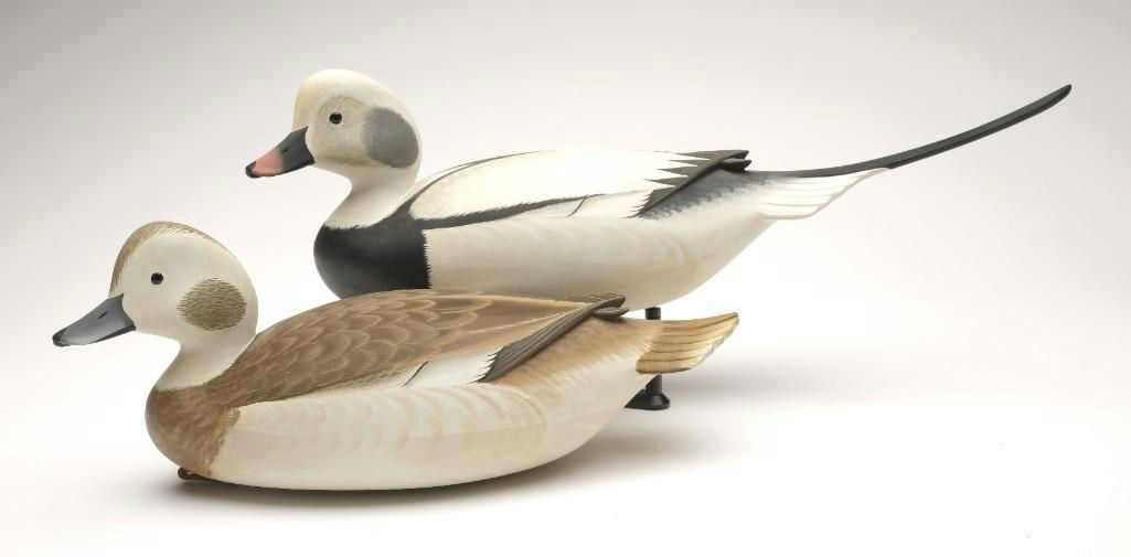 George Strunk – Pair of Long Tail Duck – 2023
