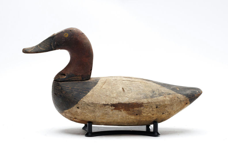 James Currier – Canvasback – 2026