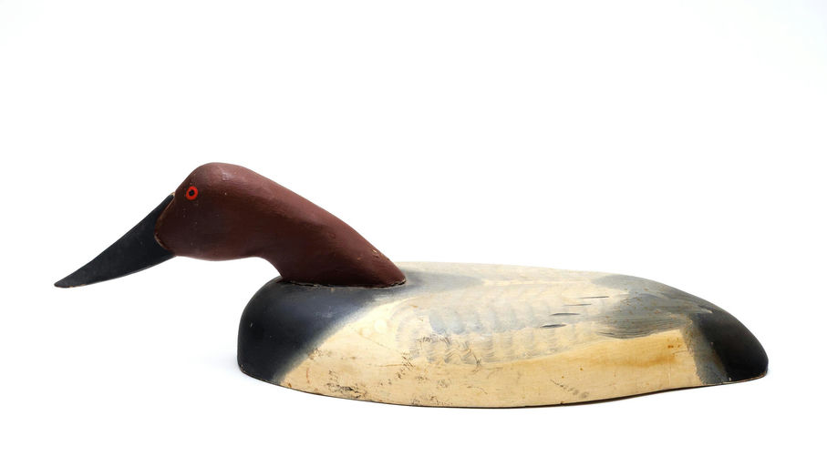 Captain Harry Jobes – Canvasback – 2026