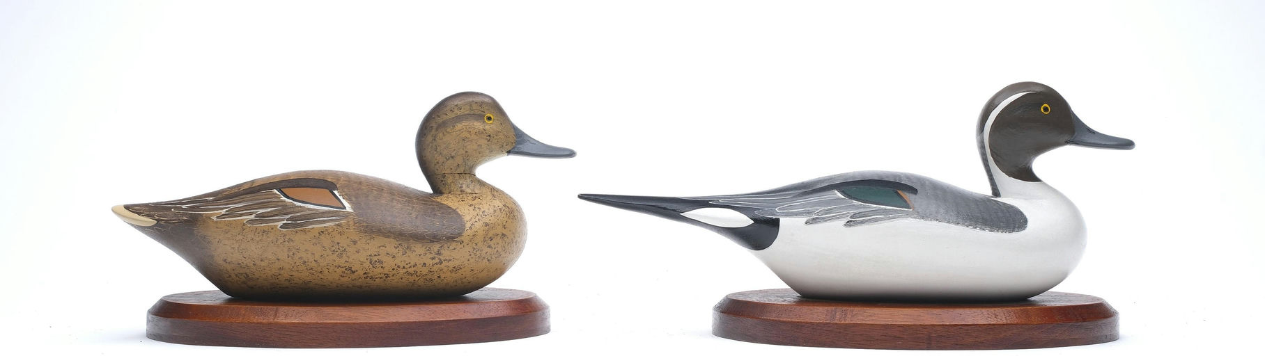 R. Madison Mitchell – Pair of Pintail – 2026