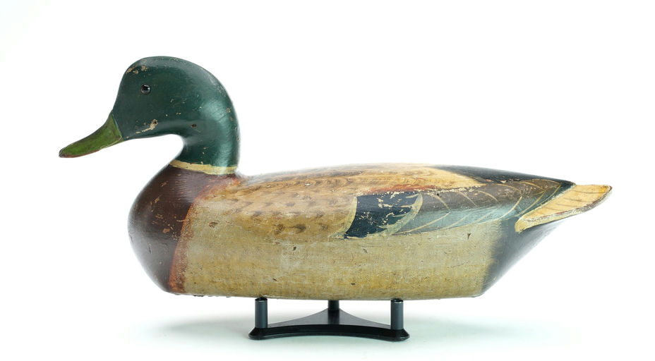 Charles Perdew – Mallard – 2025