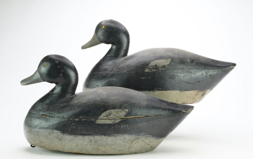 Frank Strey – Scaup – 2024