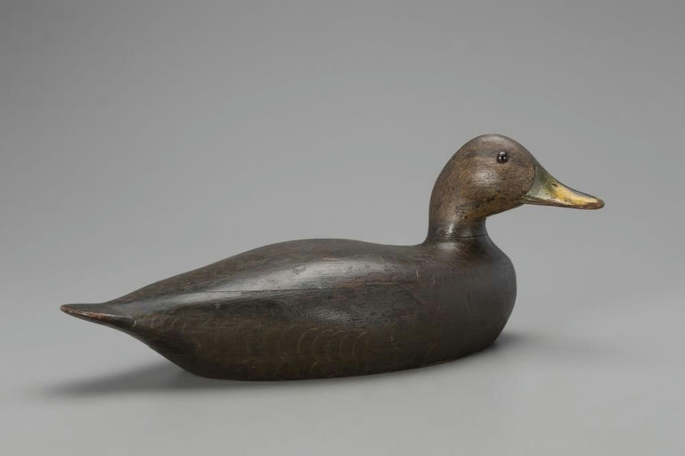 Charles Hart – Turned-Head Black Duck – 2018