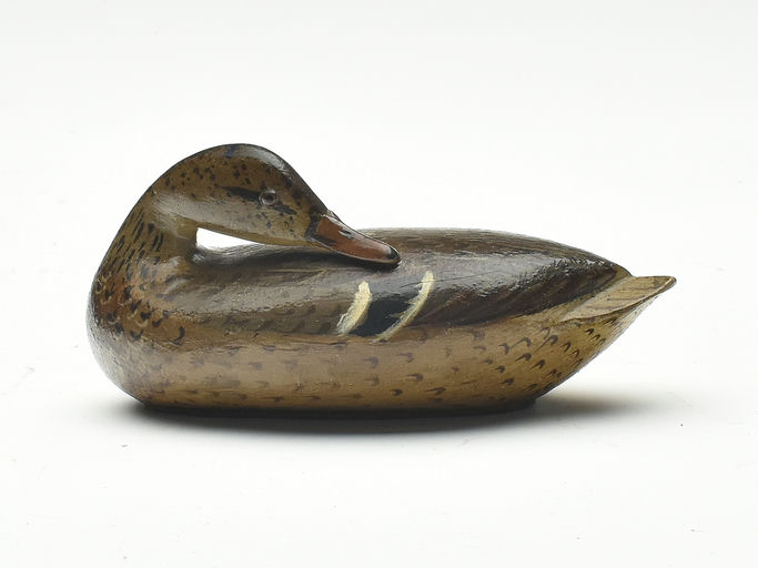 Charles Perdew – Miniature Preening Mallard Hen – 2023