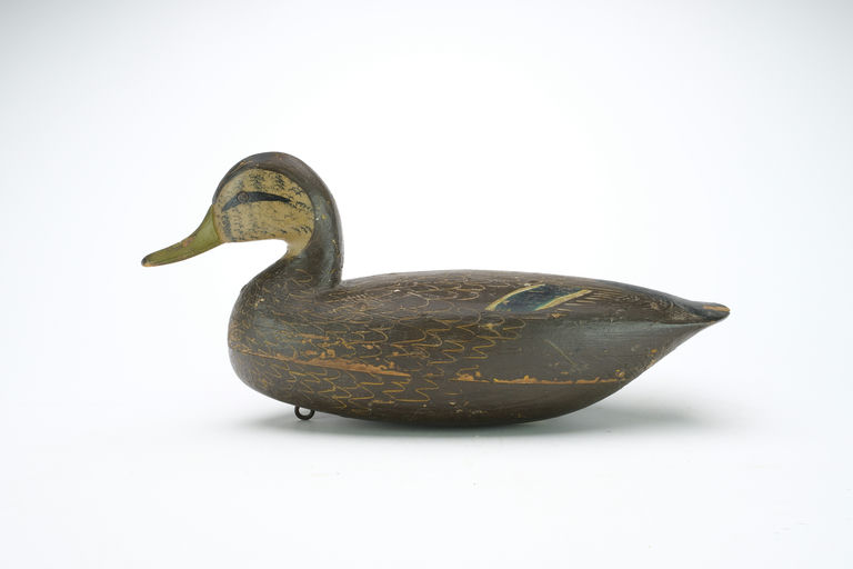 Ira Hudson – Black Duck – 2024