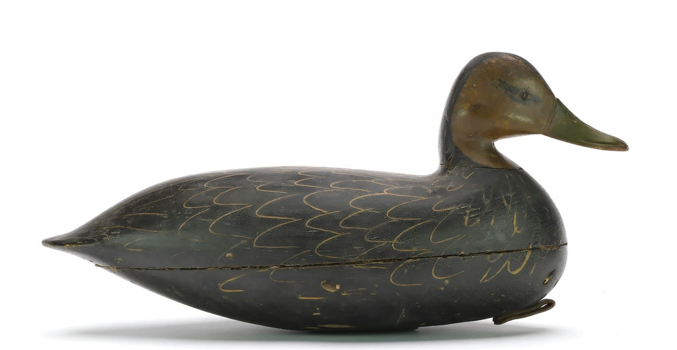 Harry V. Shourds – Black Duck – 2024