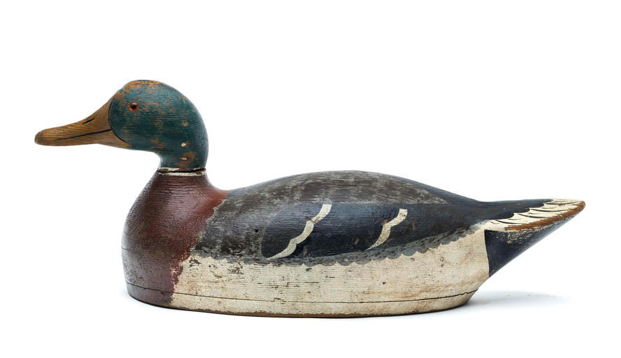 Charles Pice – Mallard – 2026