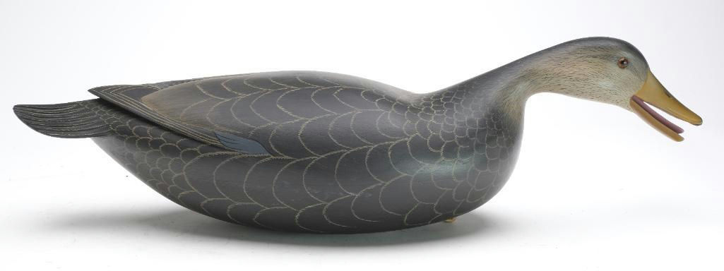 George Strunk – Black Duck – 2023