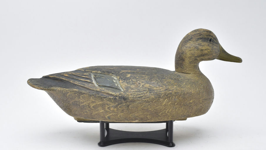 Ben Schmidt – Mallard Hen – 2025
