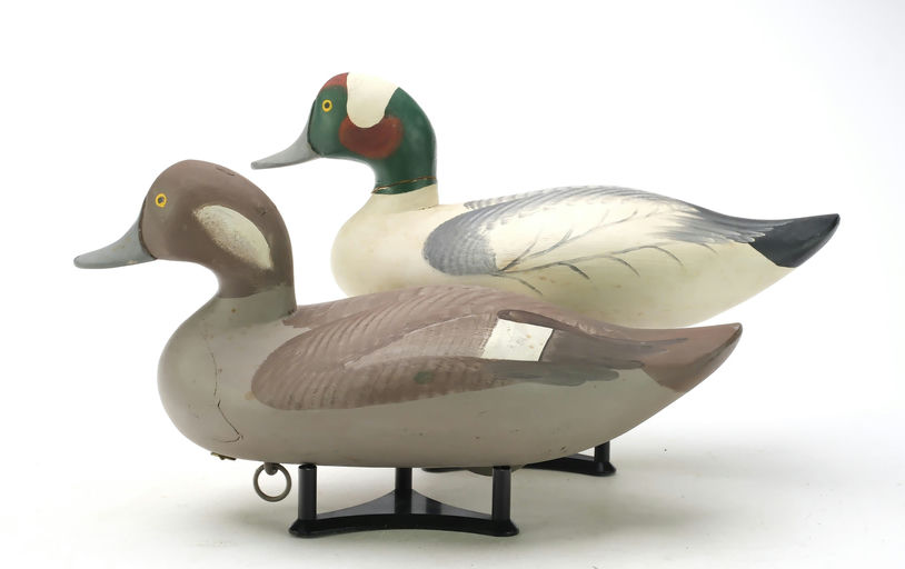 R. Madison Mitchell – Pair of Bufflehead – 2025