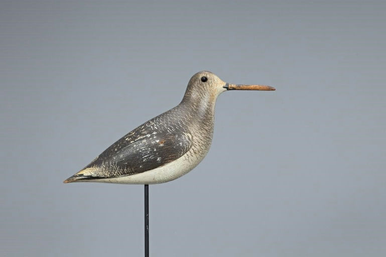 John Dilley – Dowitcher In Winter Plumage – 2019