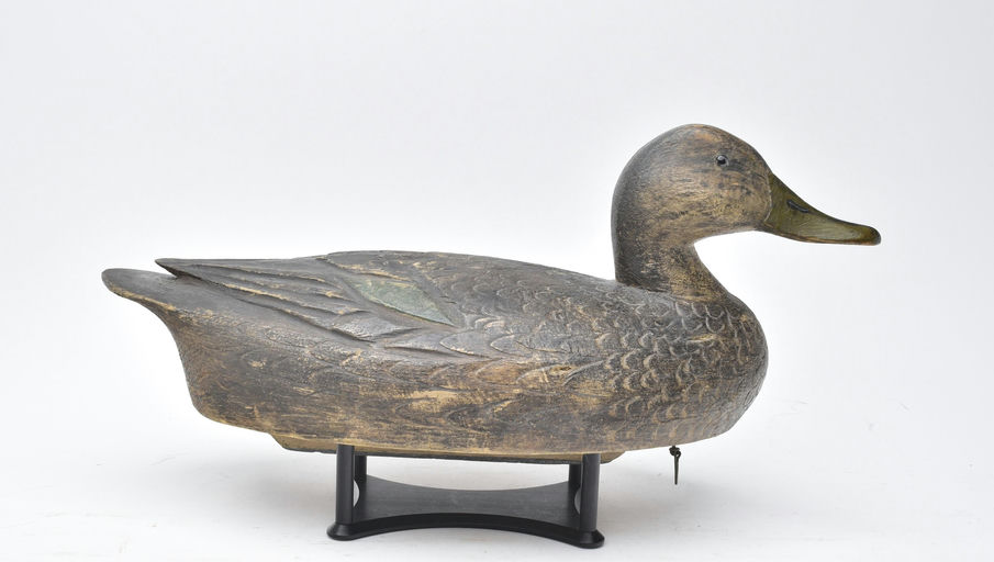 Ben Schmidt – Black Duck – 2025