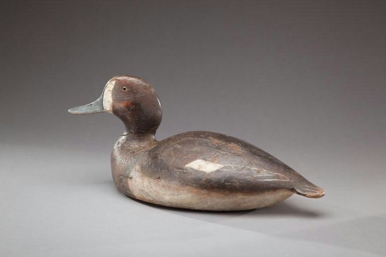 Ward Brothers – Bluebill Hen – 2012
