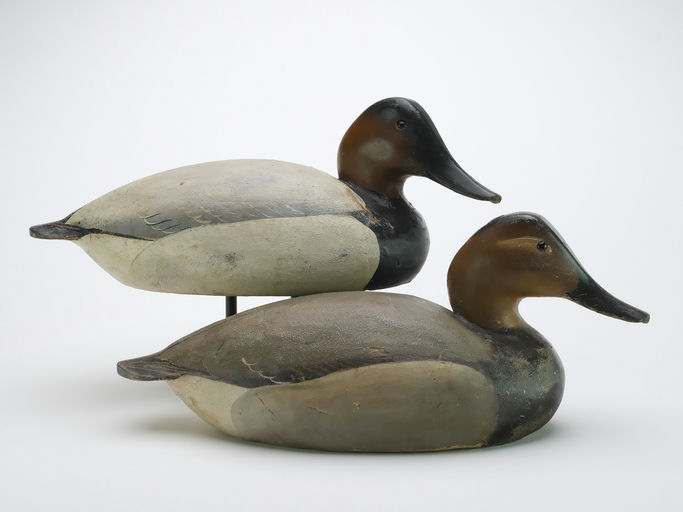 Ward Brothers – Pair of canvasbacks – 2024