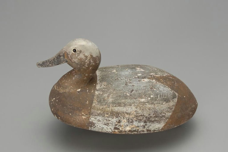 John C. Schweikart – Canvasback Hen – 2018