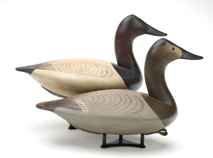 Pete Peterson – Pair of Canvasback – 2024