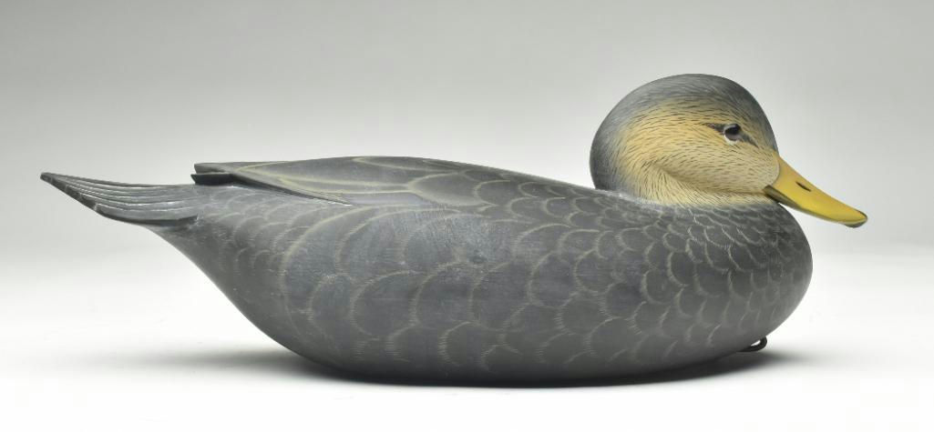 George Strunk – Black Duck – 2024