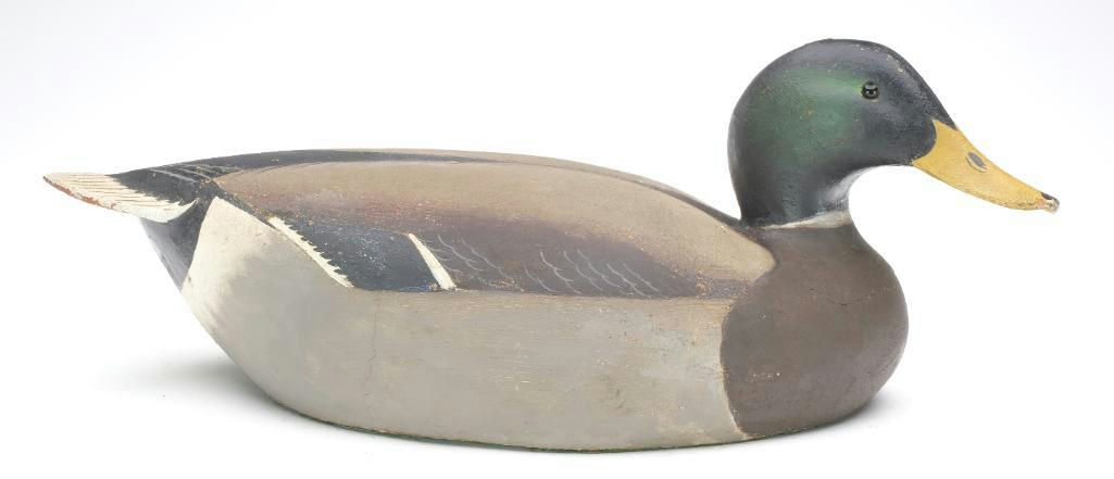 Ward Brothers – Mallard – 2023