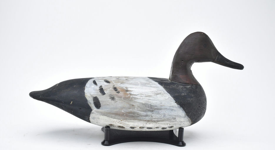 Doug Jester – Canvasback – 2026