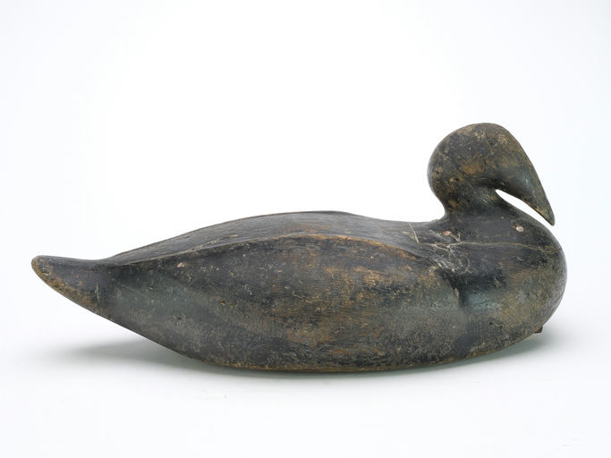 Gus Wilson – Scoter – 2024
