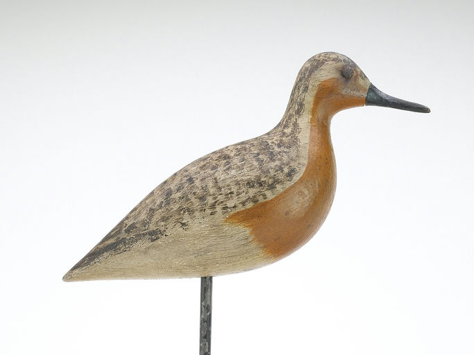 Harry V. Shourds – Snipe – 2024