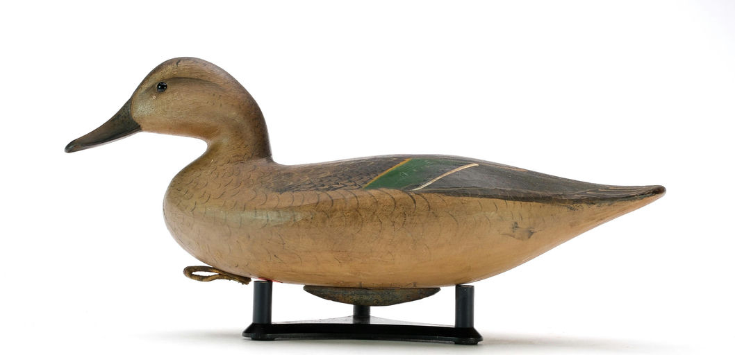 Mark McNair – Green-winged Teal – 2025