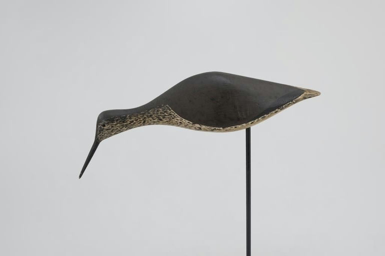 Thomas Gelston – Feeding Yellowlegs – 2026