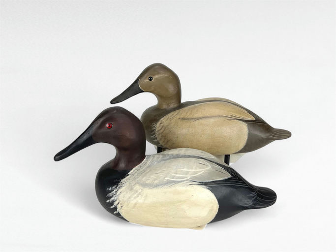 Kevin Hammel — Canvasback Pair