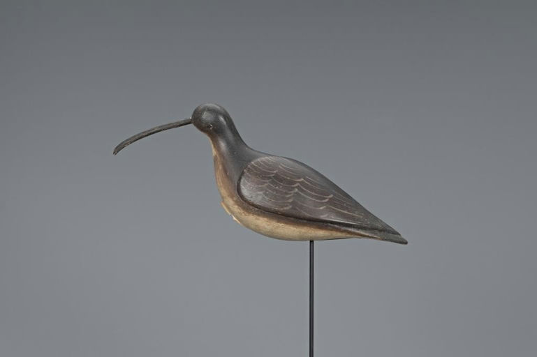 Daniel Lake Leeds – Curlew – 2019
