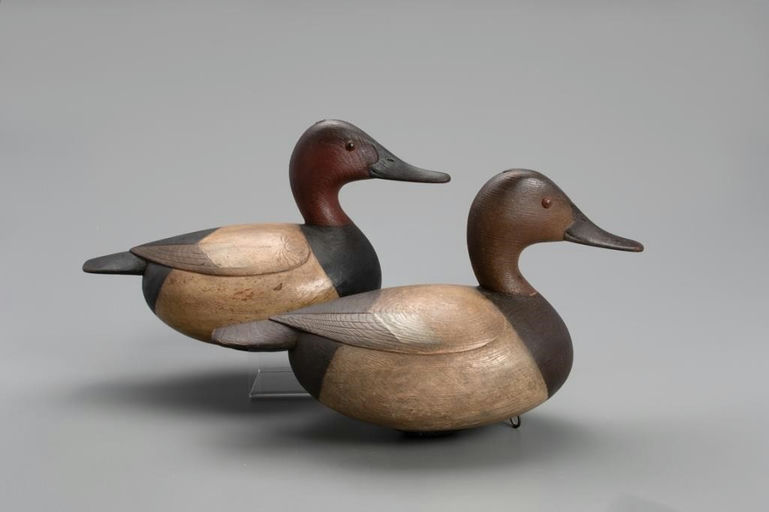 Mark McNair – Canvasback Pair – 2021
