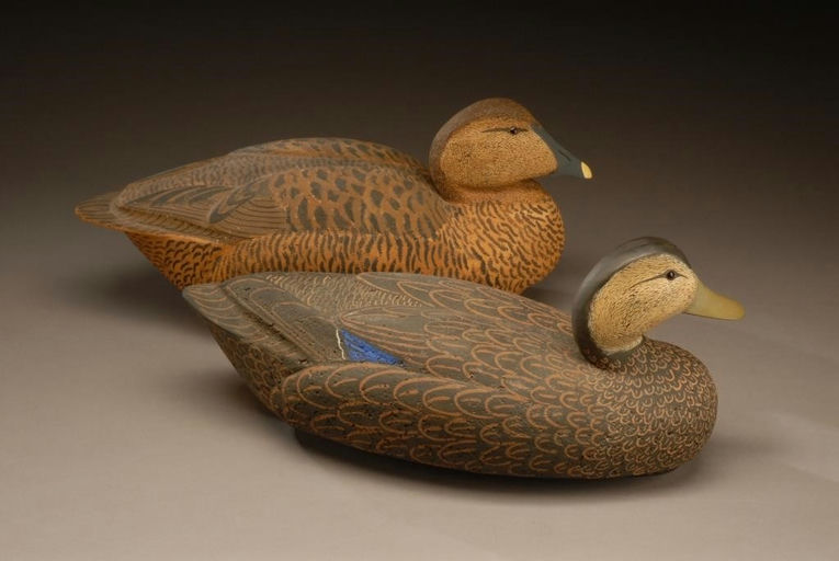 George Soule – Black Duck Hen and Eider Hen – 2008