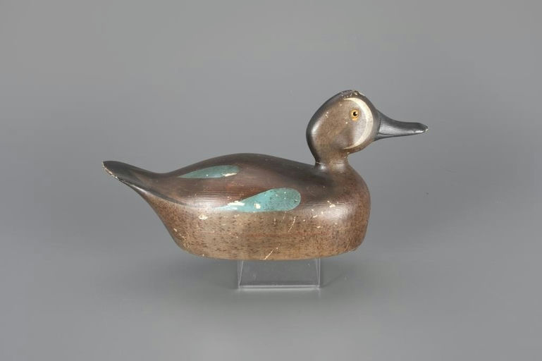 Paul Lipke – Blue-winged Teal Drake – 2024