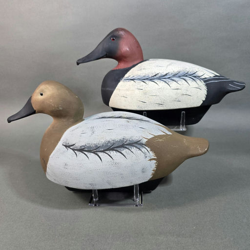 Scott Cronshaw – Canvasback – 2026