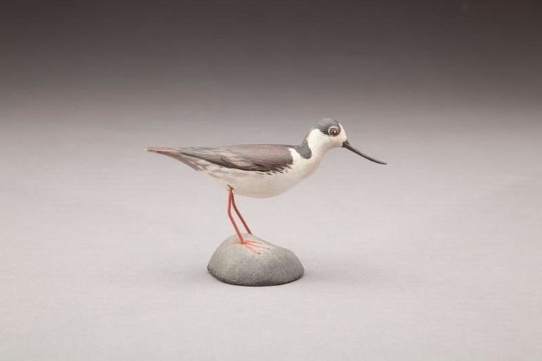 Elmer Crowell – Miniature Black-Necked Stilt – 2011