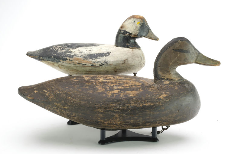 Doug Jester – Black Duck – 2024