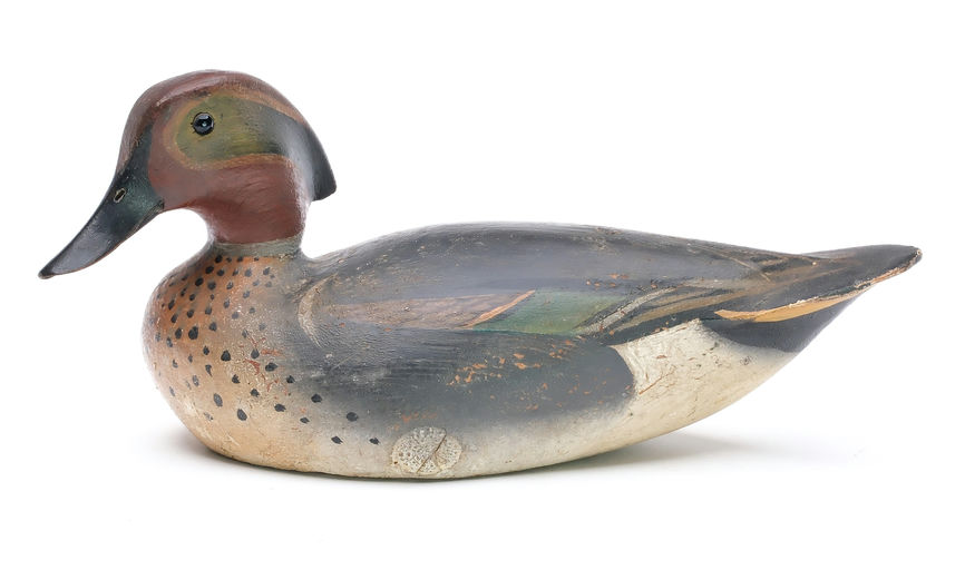 Ward Brothers – Greenwing teal – 2025
