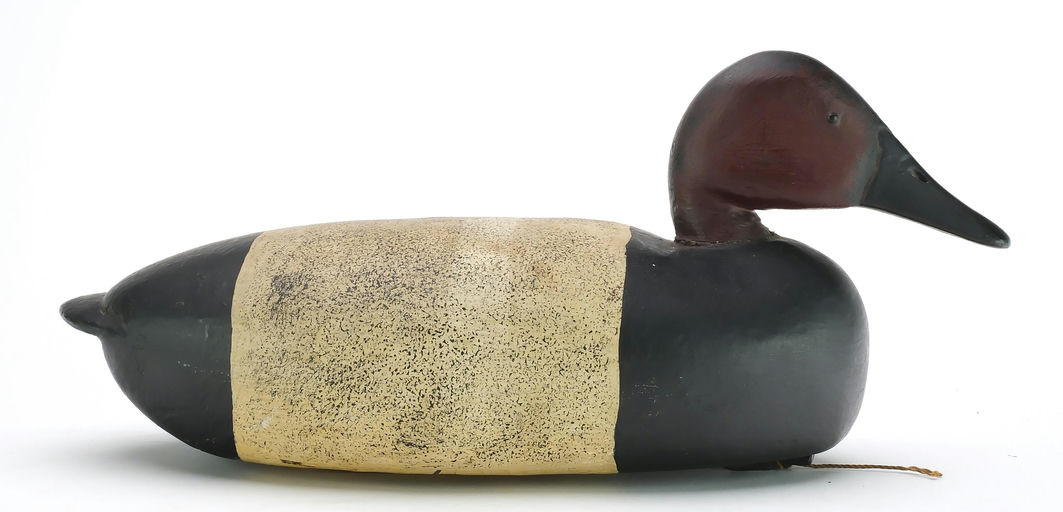 John McLoughlin – Canvasback – 2024