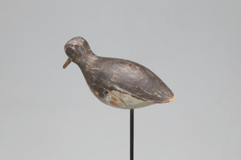 Eli Doughty – Red Knot – 2021