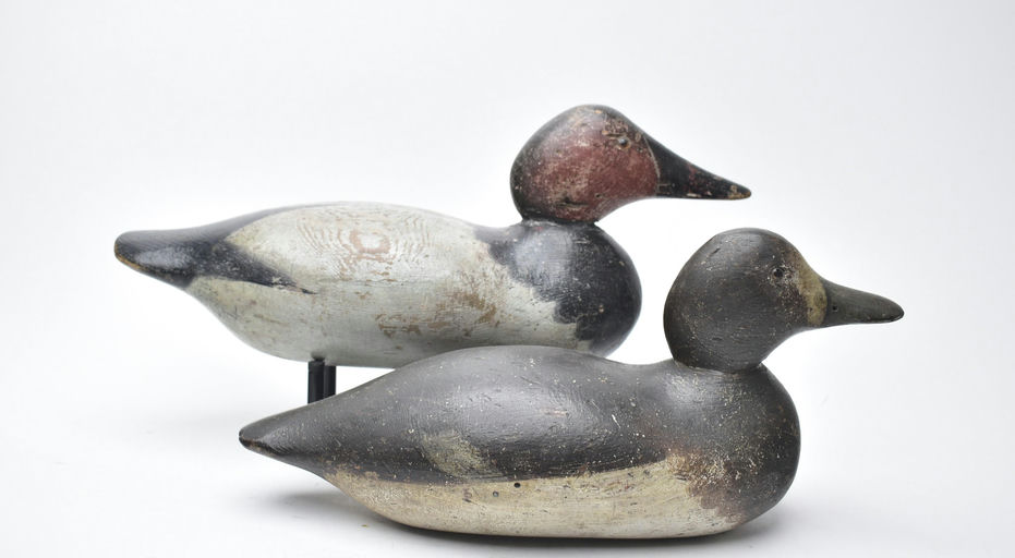 Mason Decoy Factory – Bluebill Hen – 2025