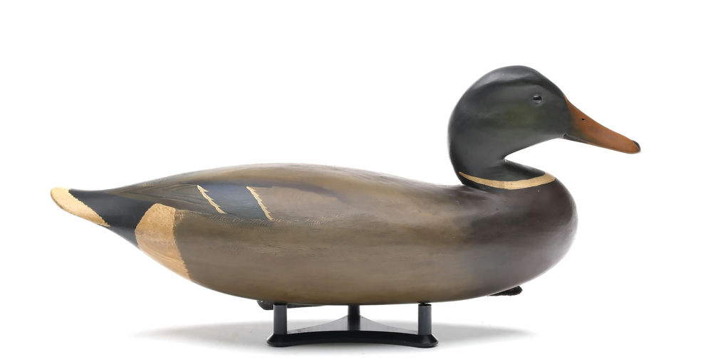 Bob White – Mallard – 2025