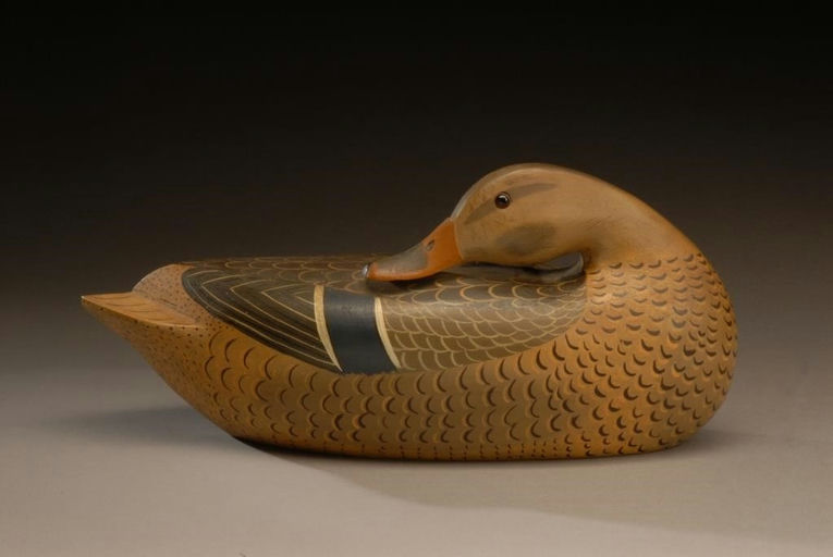 Cline A. McAlpin – Preening Mallard Hen – 2008