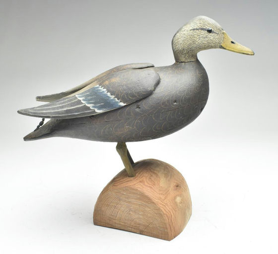 Reggie Birch – Black duck – 2023