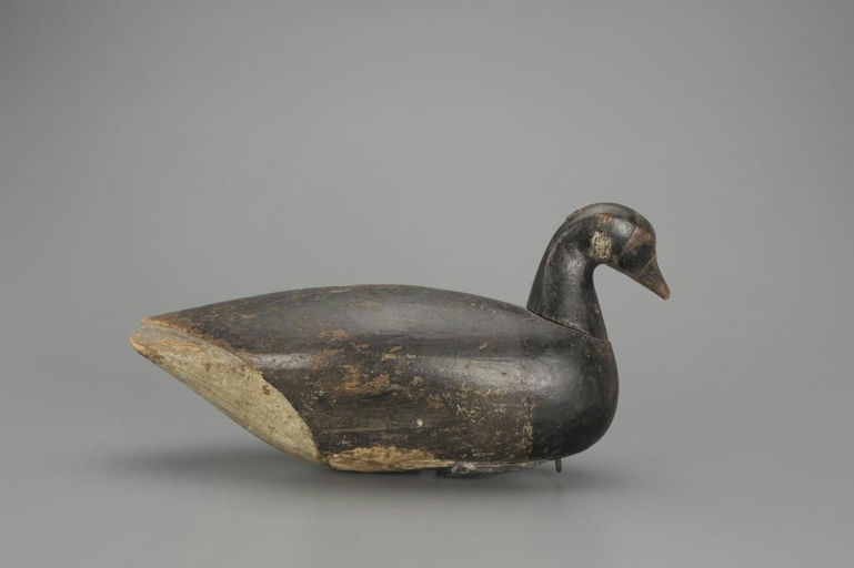 Eli Doughty – Early Brant – 2018