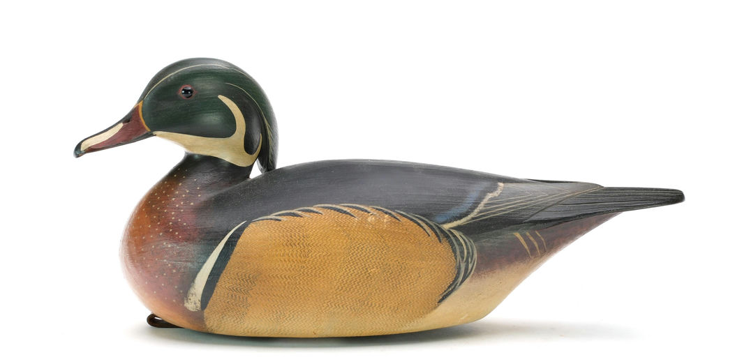 Bill Gibian – Wood Duck – 2025